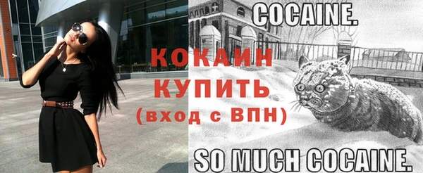 мяу мяу мука Бородино