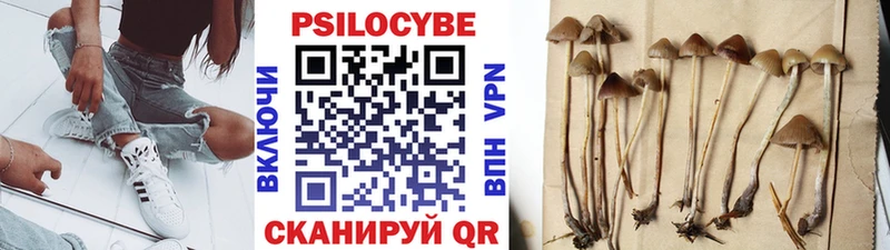 Псилоцибиновые грибы GOLDEN TEACHER  Купить  Юрьевец 